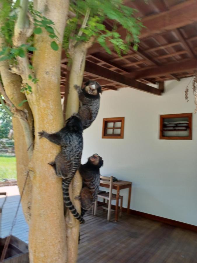Manjuba Pousada - Taipu de Fora Taipus de Fora Bagian luar foto