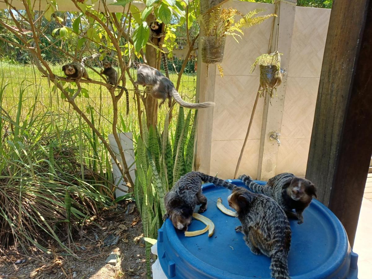 Manjuba Pousada - Taipu de Fora Taipus de Fora Bagian luar foto